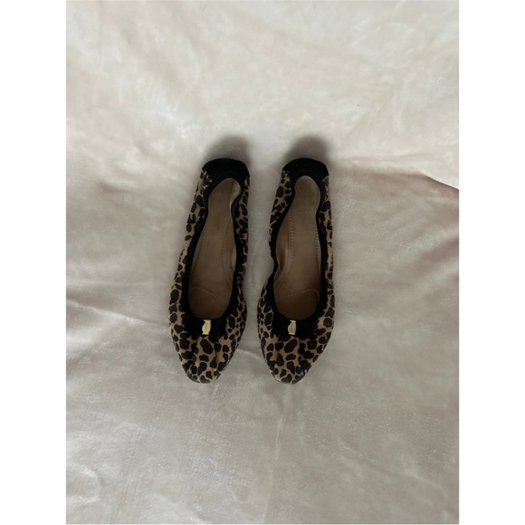 Salvatore Ferragamo Leopard Print Ballet Flat - Picture 4 of 7